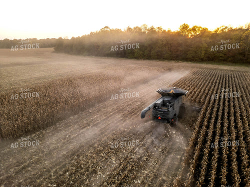 Aerial of Corn Harvest 115565
