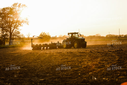 Planting 2875