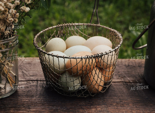 Eggs 178048