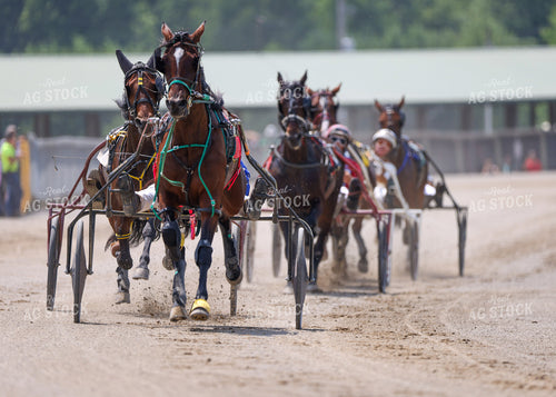 Horse Racing 160253