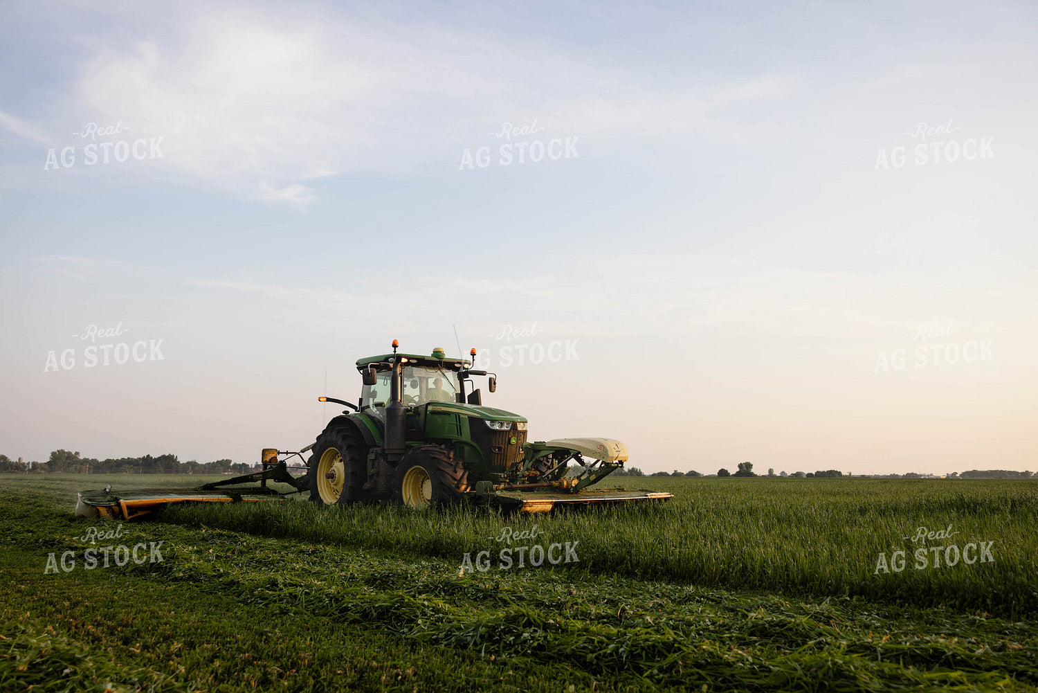 Cutting Hay 152009