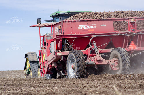 Planting Potatoes 146076