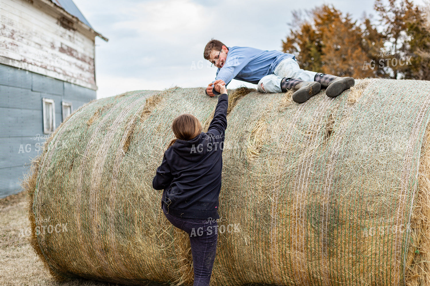 Farm Kids Climbing on Hay Bale 155575