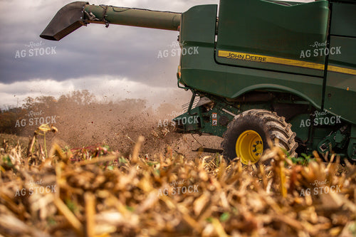 Corn Harvest 270656