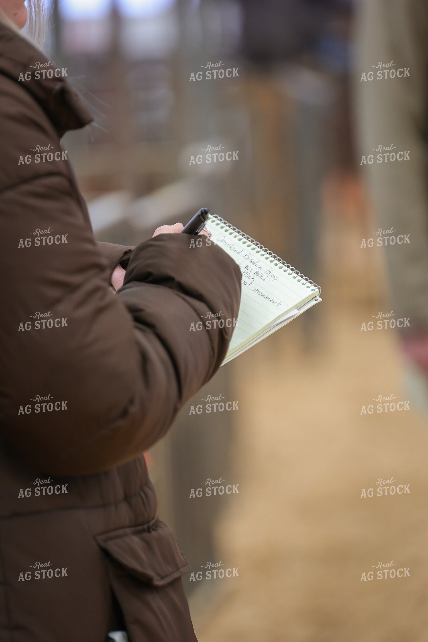 Judging Pig Show 52327