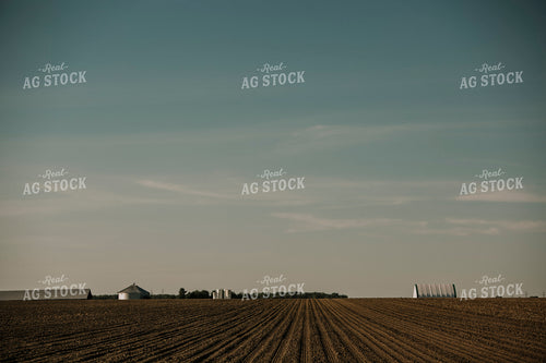 Planting 2784