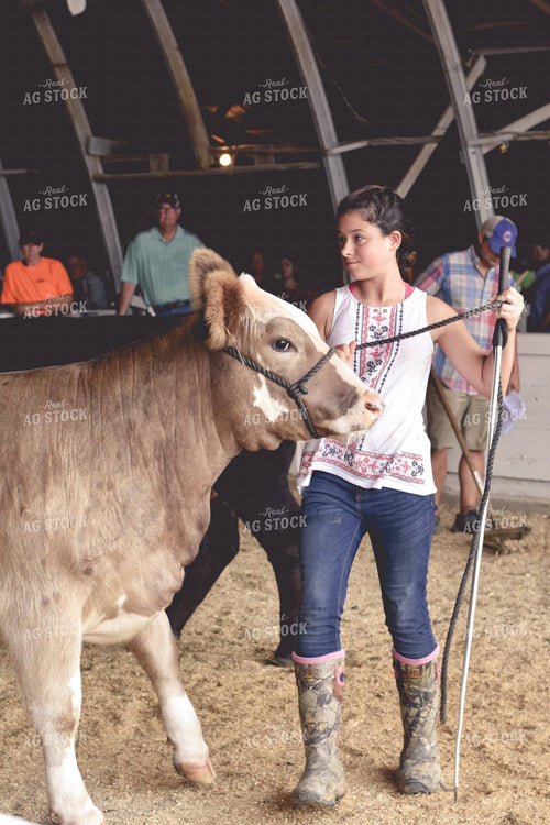 Farm Kid Showing Cow 115007