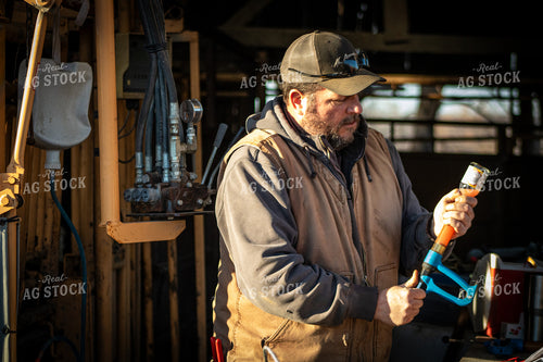 Vaccinating Cattle 214102