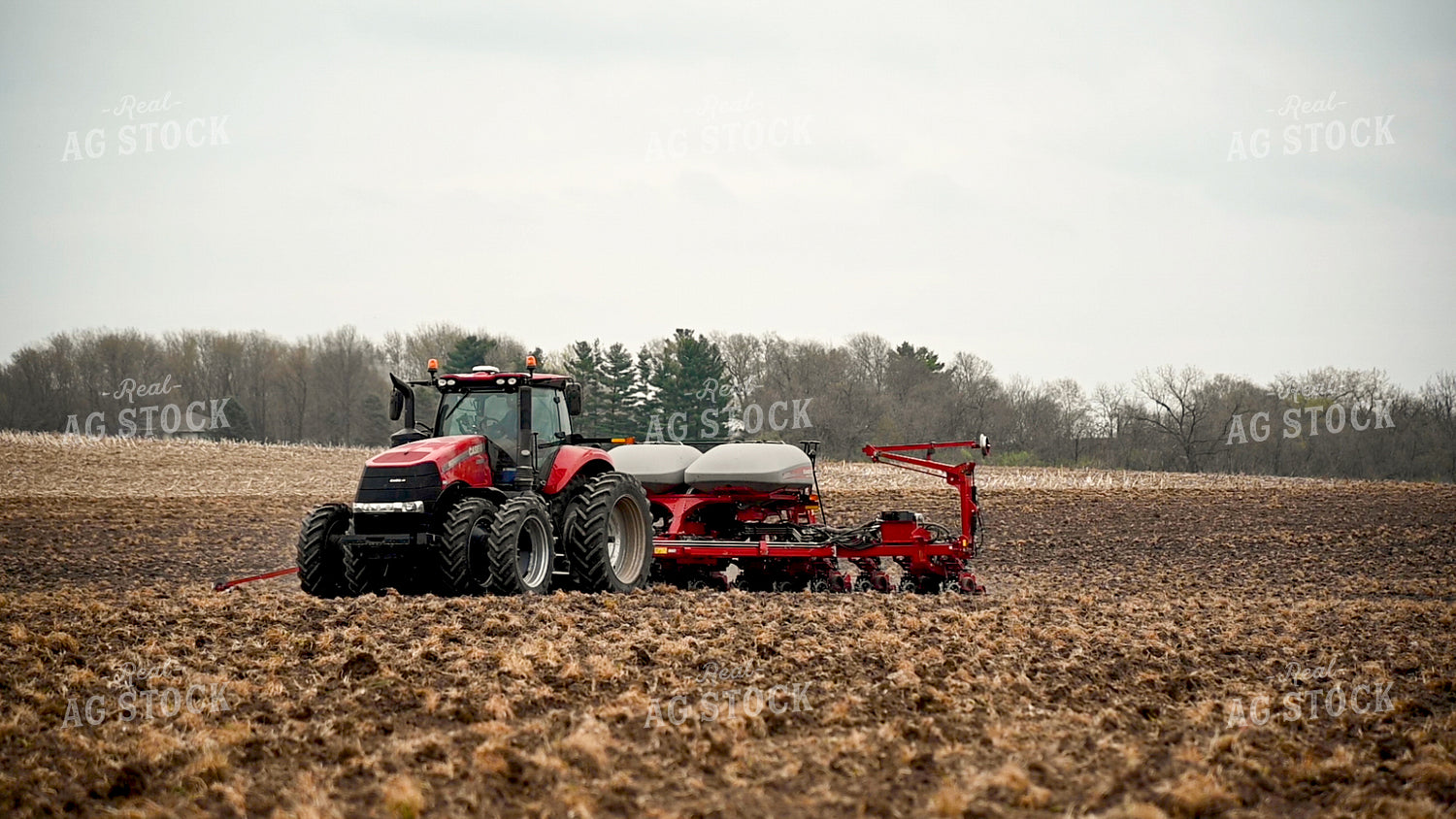 Planting into Tilled Cover Crops 25143