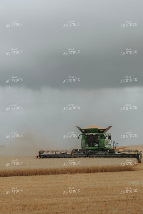 Wheat Harvest 187383