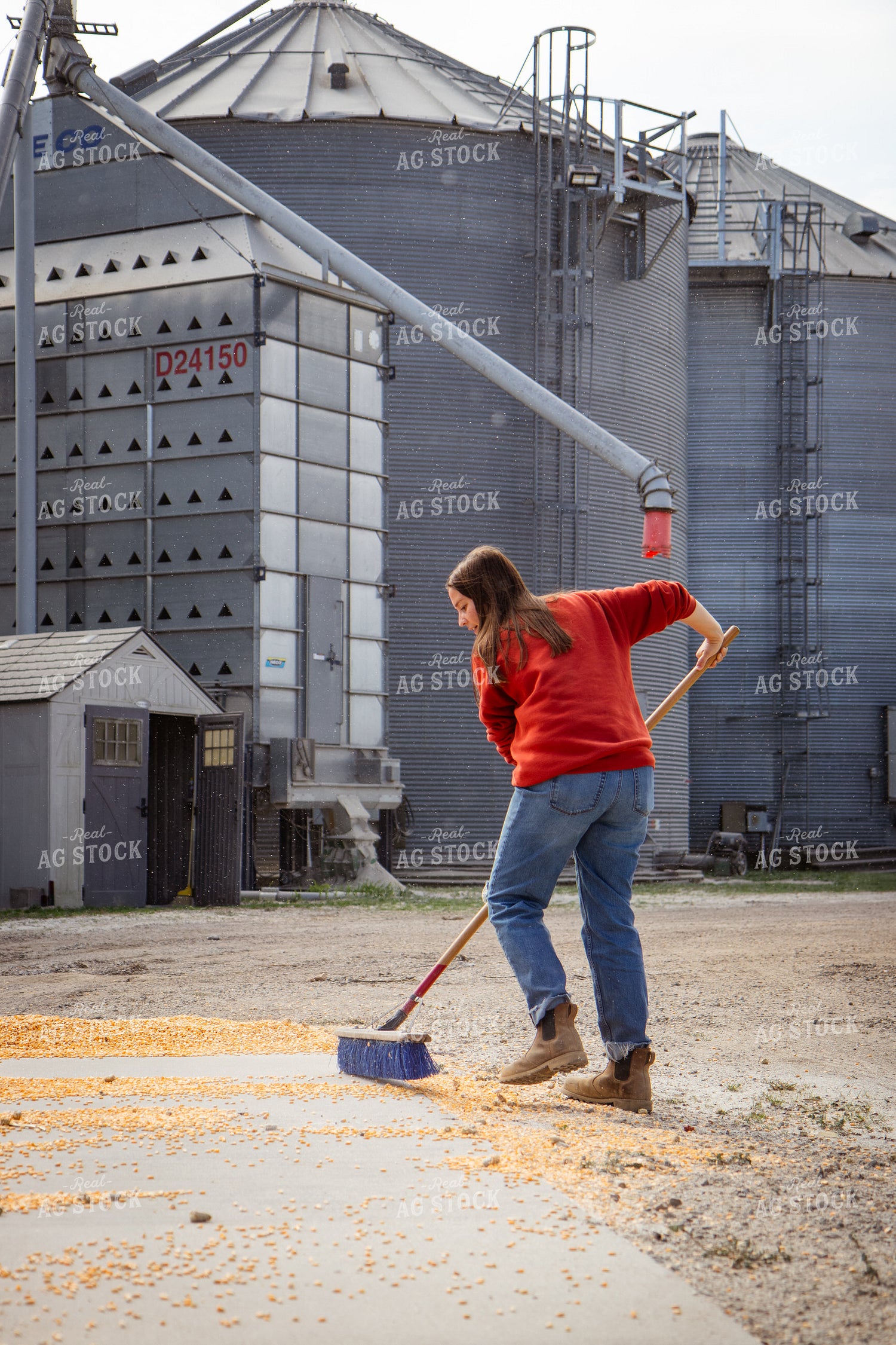 Female Farmer Sweeping Corn into Grain Pit 268105