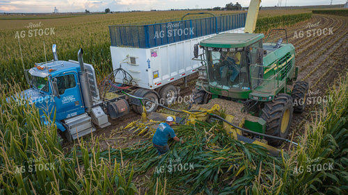 Farmer Fixing Head of Forage Harvester 56543