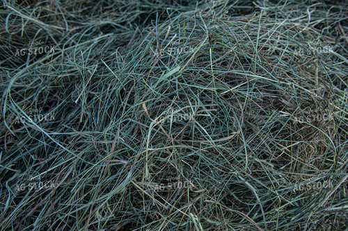 Cut Hay 189057