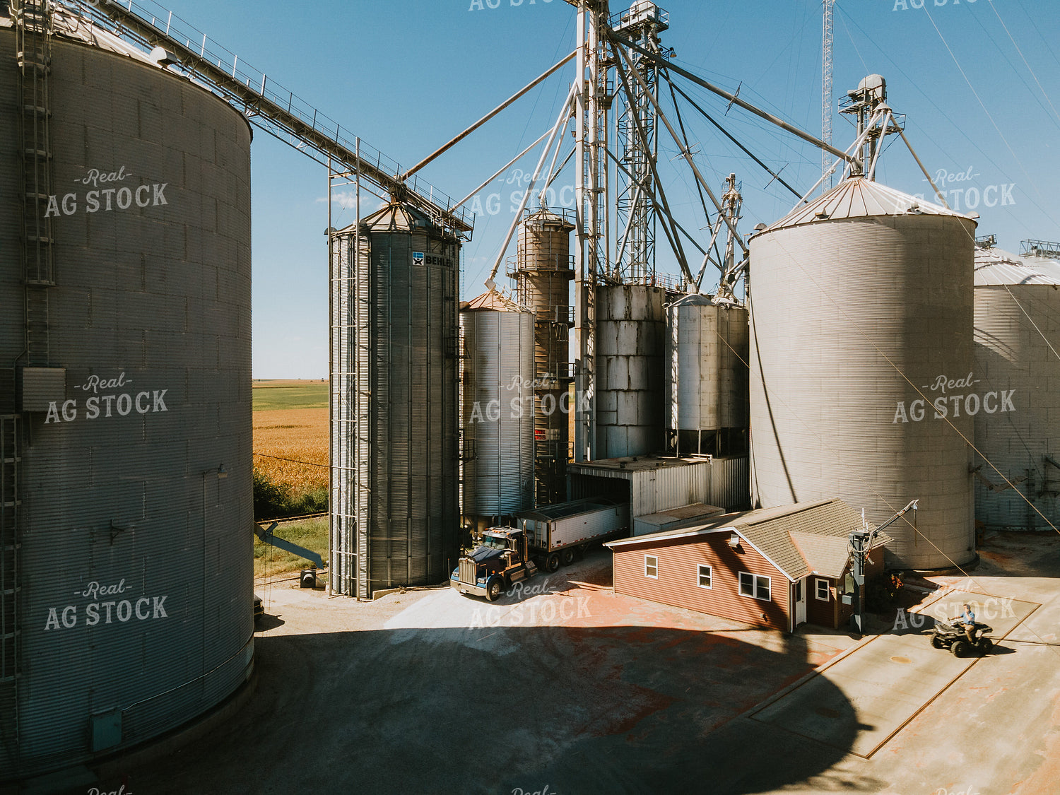 Truck Dumping at Grain Elevator Pit 4651