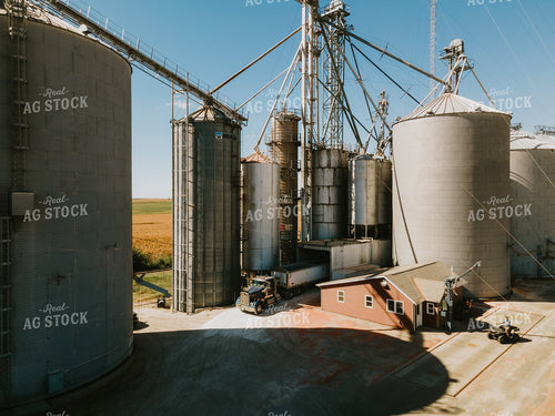 Truck Dumping at Grain Elevator Pit 4651