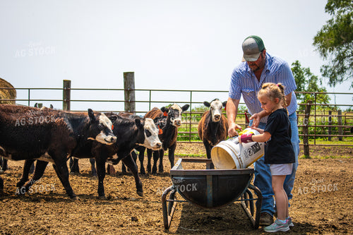 Farmer and Farm Kid Feeding Cattle 214161