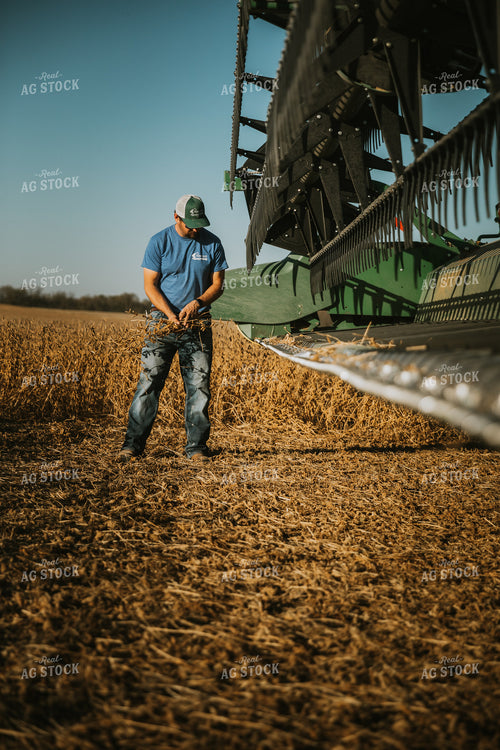 Farmer Inspecting Combine Head 7128