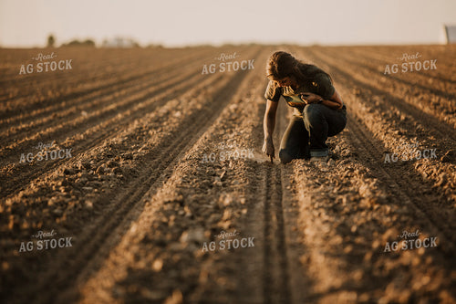 Planting 2834