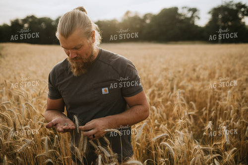 Farmer in Rye Field 5972