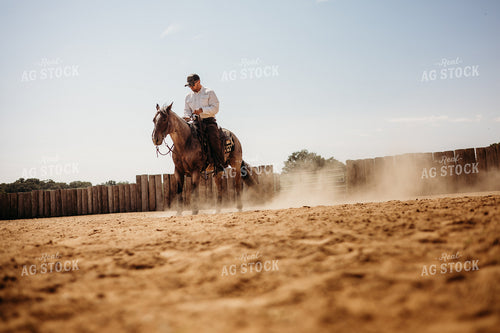 Riding Horse in Arena 281101