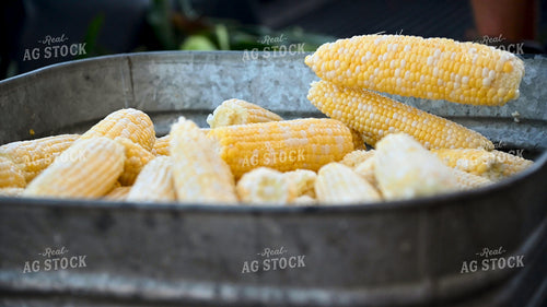 Sweet Corn 25248