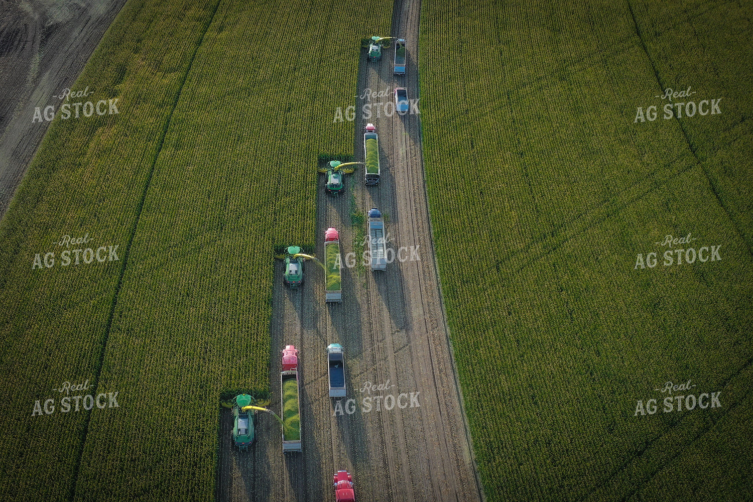 Silage Harvest Drone 56226