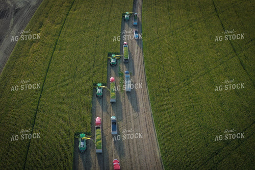 Silage Harvest Drone 56226