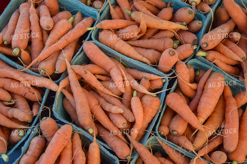Carrots 106012