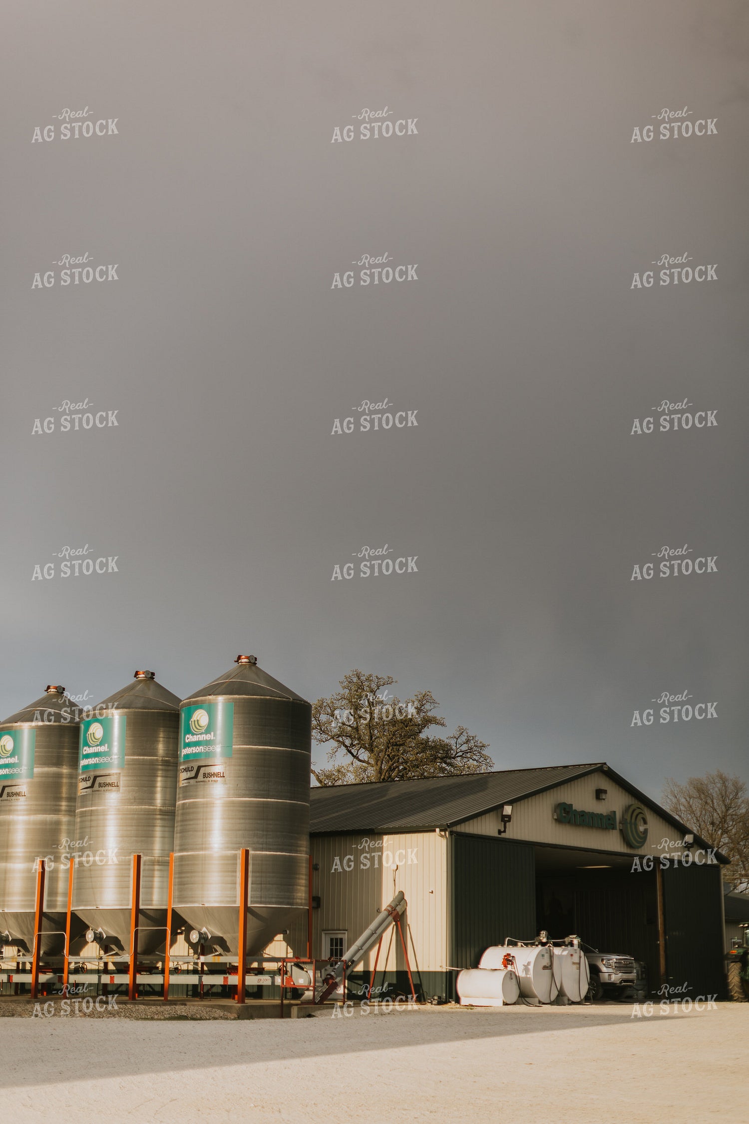 Seed Shed 7610