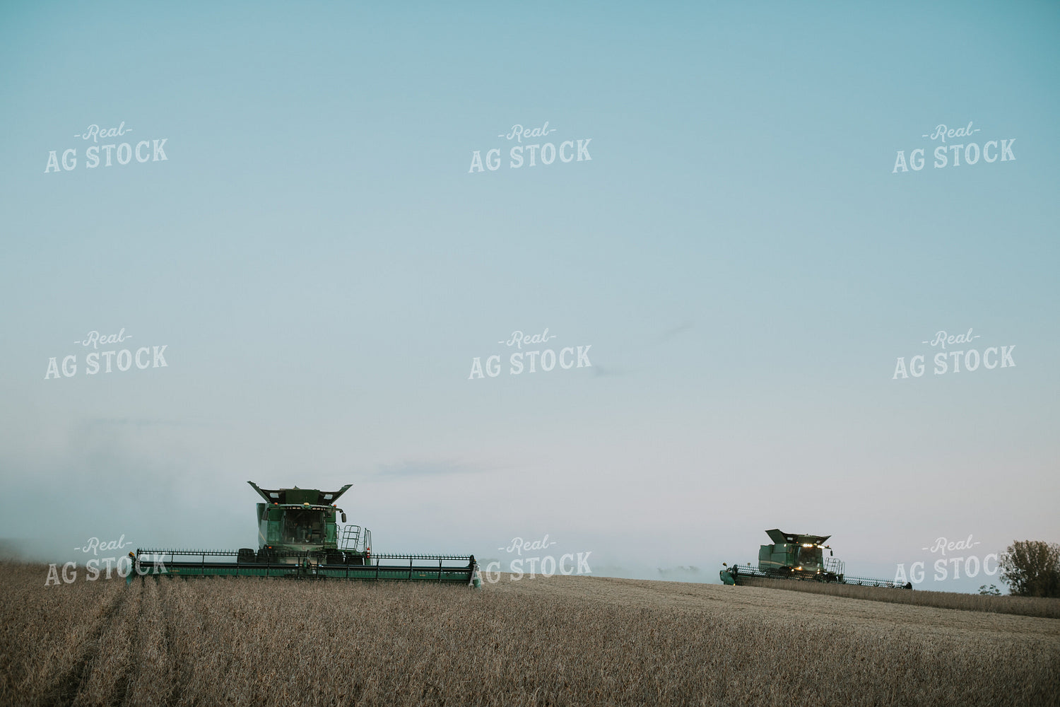 Soybean Harvest 6762