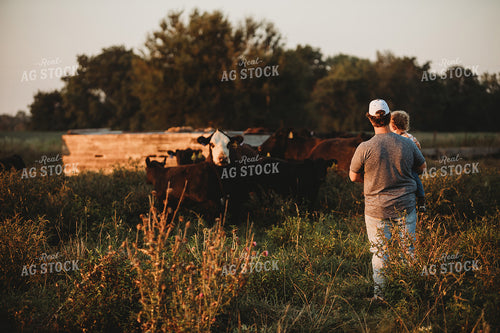 Farm Family with Cows in Pasture 3186