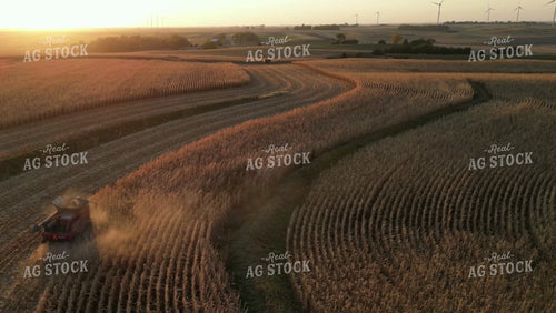 Aerial of Corn Harvest 268047
