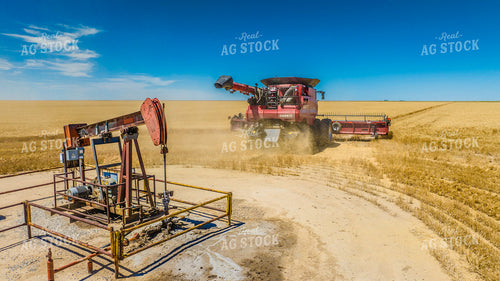 Wheat Harvest 199062