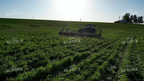 Planting into Cover Crop 268310