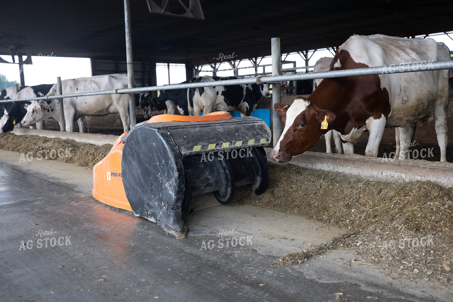 Robot Sweeper 270190