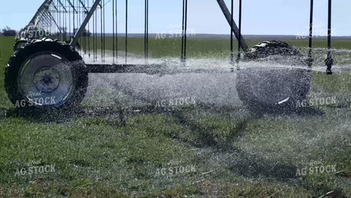 Pivot Irrigation on Wheat 190017