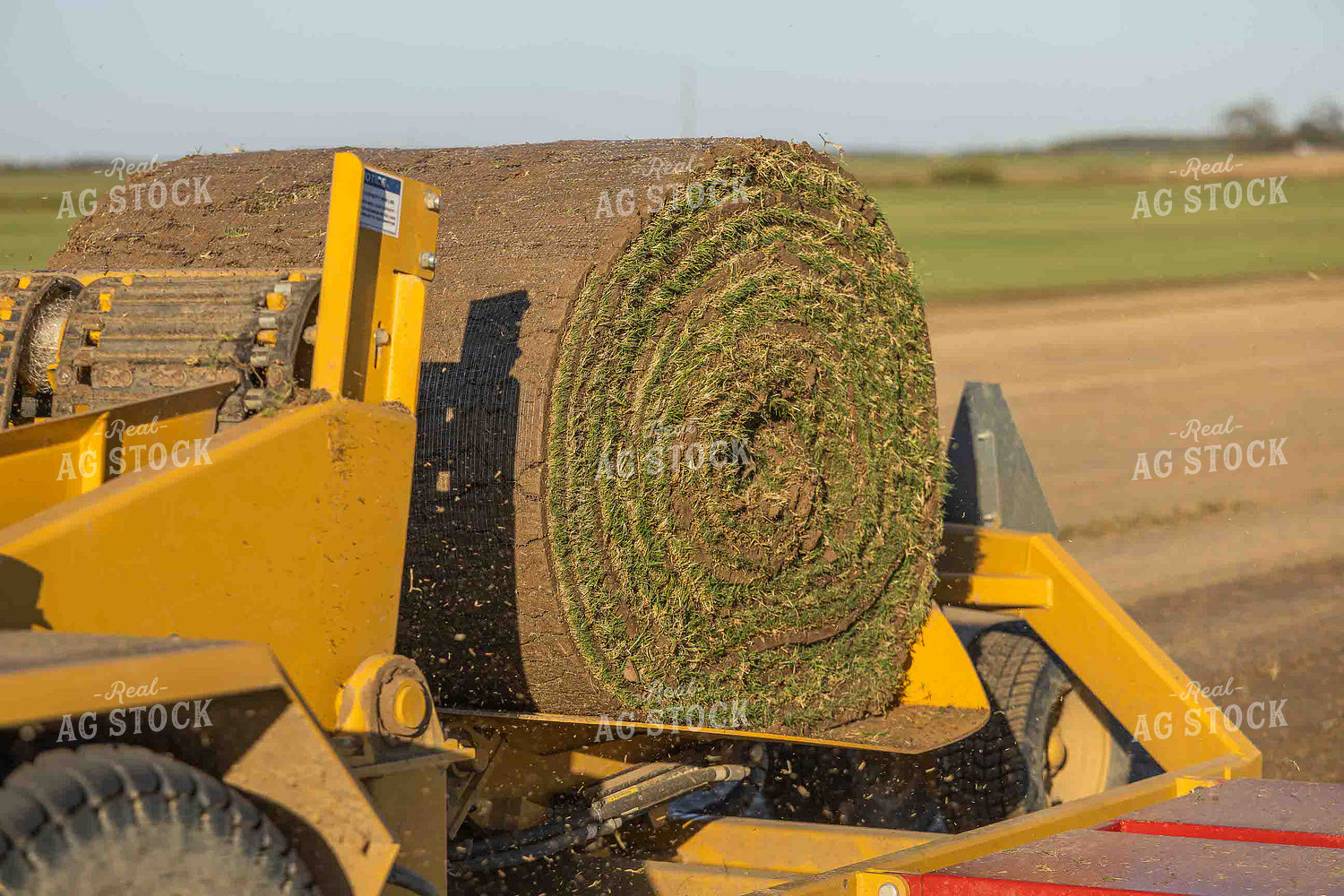 Sod Harvest 291023