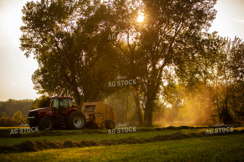 Tractor Baling Hay with Sun Coming through the Trees 5509