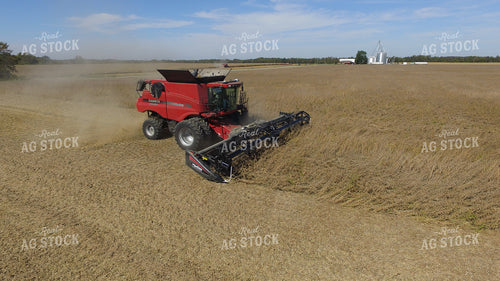 Soybean Harvest 85035