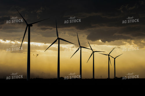 Windmill Silhouette 50045