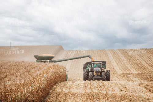 Corn Harvest 215014