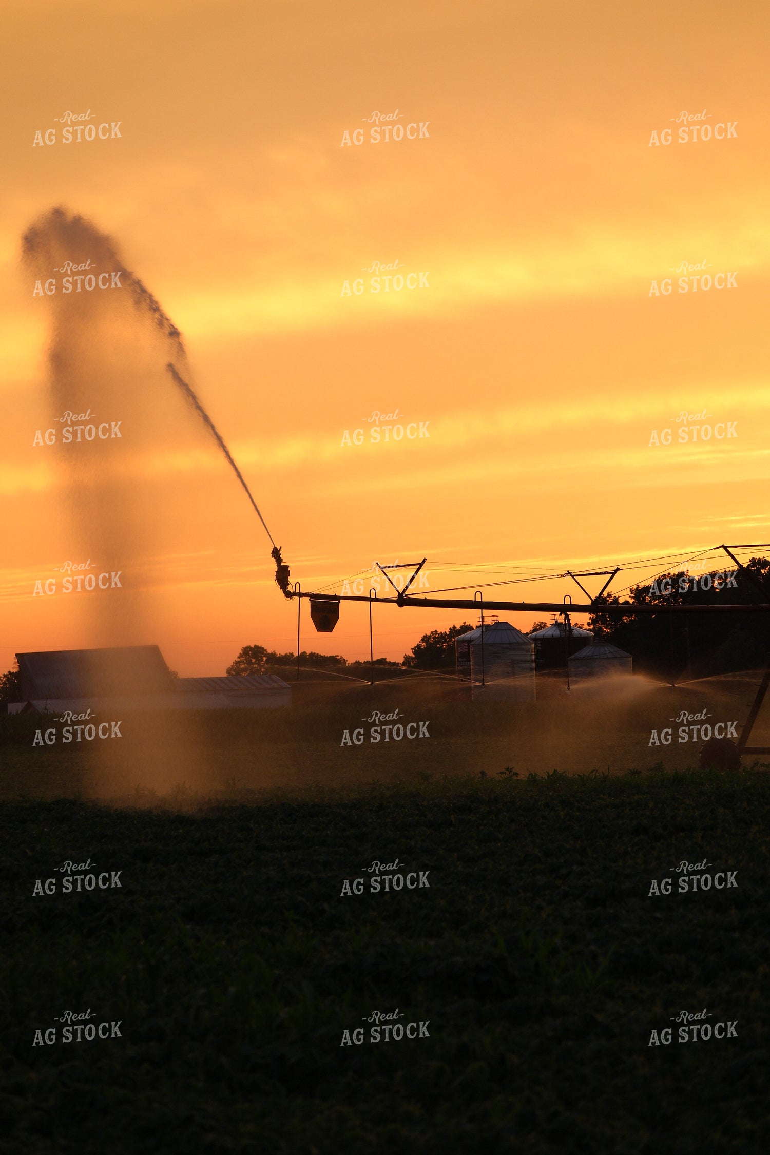 Irrigation at Sunset 160351