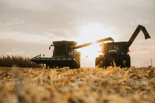 Combine and Auger Cart Harvesting Corn Field 5263