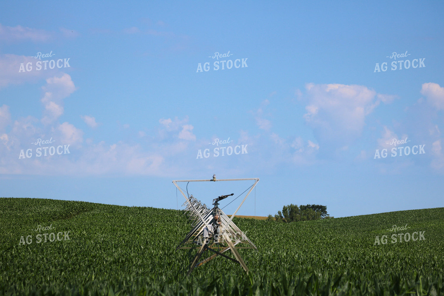 Pivot Irrigation in Corn Field 82303