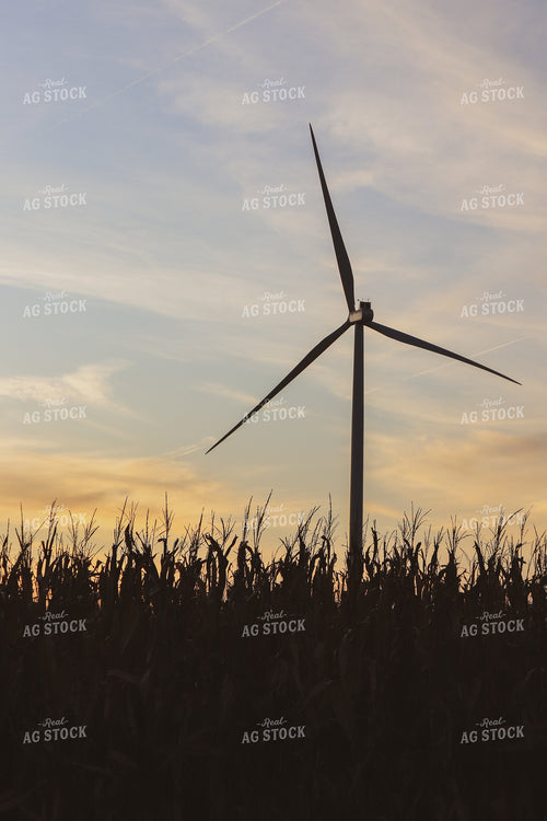Corn and Windmill Silhouette 67015