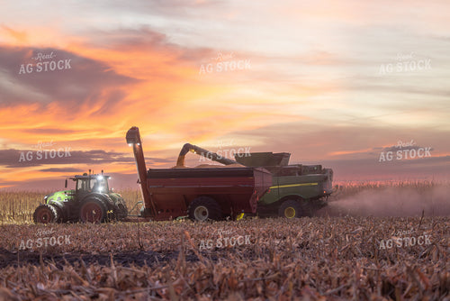 Corn Harvest 72205