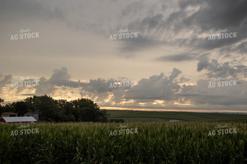 Scenic Rural Landscape 77087