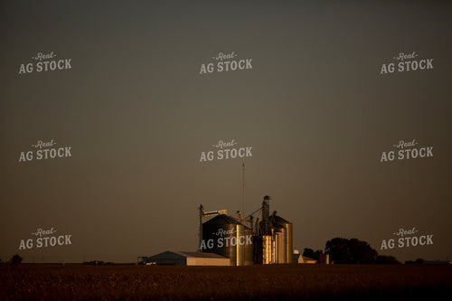 Harvest 2511
