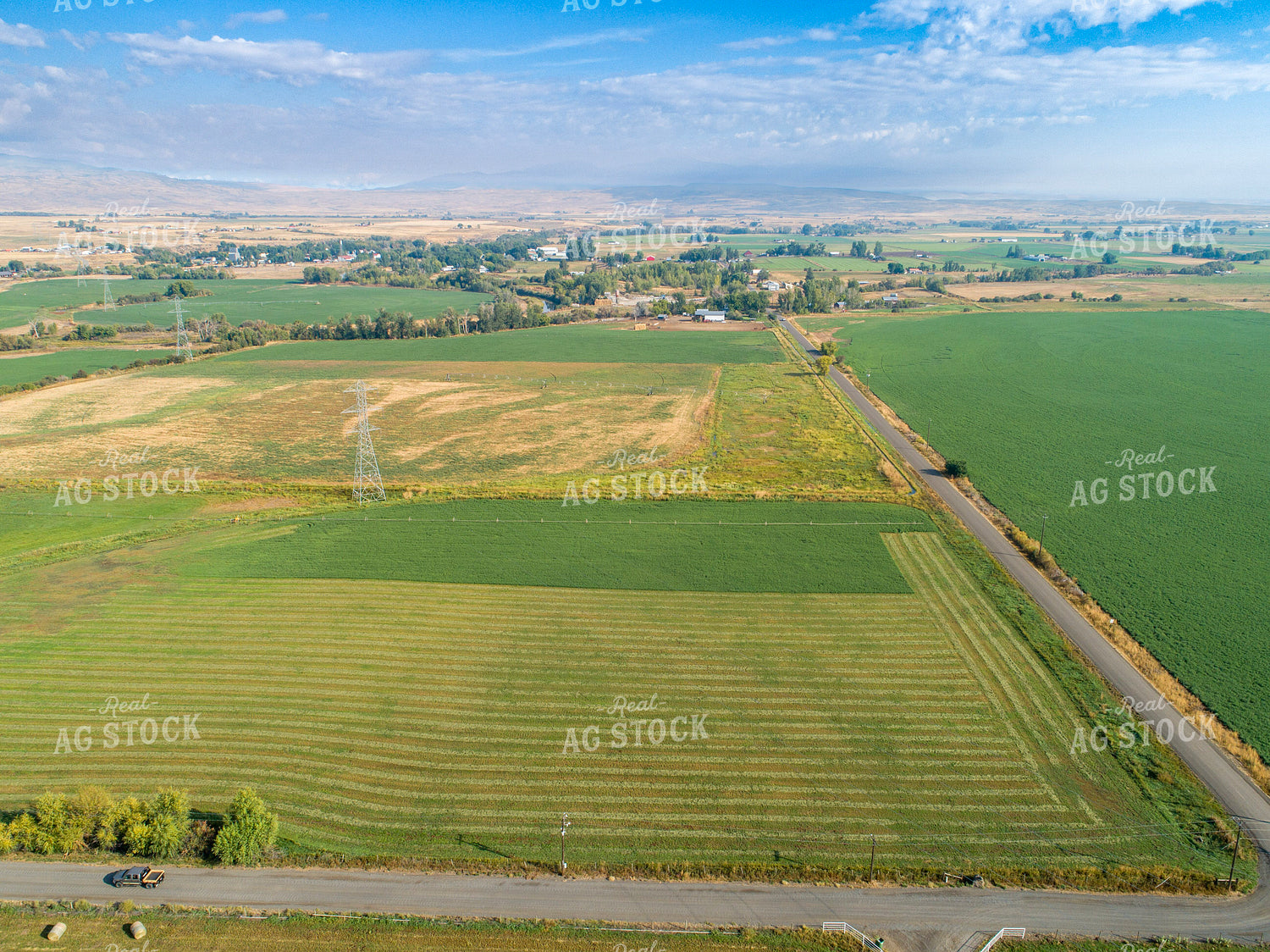 Aerial of Cut Hay Field 122047