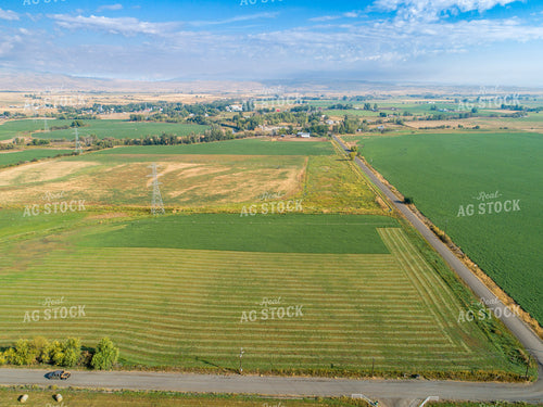 Aerial of Cut Hay Field 122047